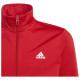 Adidas Παιδικές φόρμες σετ Essentials Big Logo Tracksuit